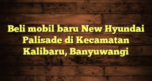 Beli mobil baru New Hyundai Palisade di Kecamatan Kalibaru, Banyuwangi