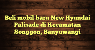 Beli mobil baru New Hyundai Palisade di Kecamatan Songgon, Banyuwangi