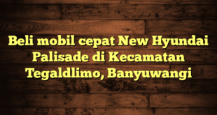 Beli mobil cepat New Hyundai Palisade di Kecamatan Tegaldlimo, Banyuwangi