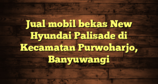 Jual mobil bekas New Hyundai Palisade di Kecamatan Purwoharjo, Banyuwangi