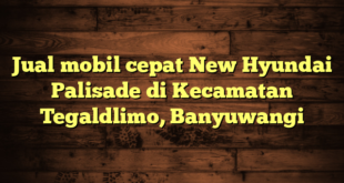 Jual mobil cepat New Hyundai Palisade di Kecamatan Tegaldlimo, Banyuwangi