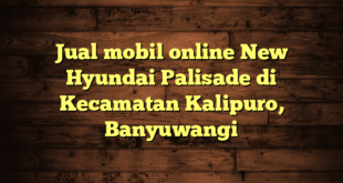 Jual mobil online New Hyundai Palisade di Kecamatan Kalipuro, Banyuwangi