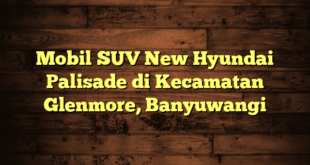 Mobil SUV New Hyundai Palisade di Kecamatan Glenmore, Banyuwangi