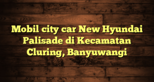 Mobil city car New Hyundai Palisade di Kecamatan Cluring, Banyuwangi