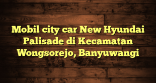 Mobil city car New Hyundai Palisade di Kecamatan Wongsorejo, Banyuwangi