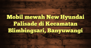 Mobil mewah New Hyundai Palisade di Kecamatan Blimbingsari, Banyuwangi