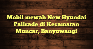 Mobil mewah New Hyundai Palisade di Kecamatan Muncar, Banyuwangi