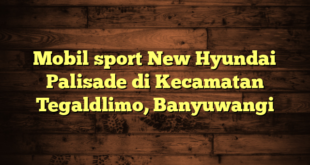 Mobil sport New Hyundai Palisade di Kecamatan Tegaldlimo, Banyuwangi