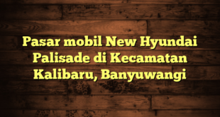 Pasar mobil New Hyundai Palisade di Kecamatan Kalibaru, Banyuwangi